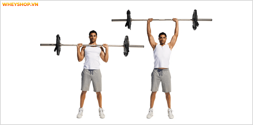 Cơ vai là một nhóm cơ lớn hàng đầu, thể hiện sự nam tính và thẩm mỹ của người tập gym. Cùng tìm hiểu 13 lưu ý tập vai rộng giúp bạn sở hữu bờ vai nở, săn chắc