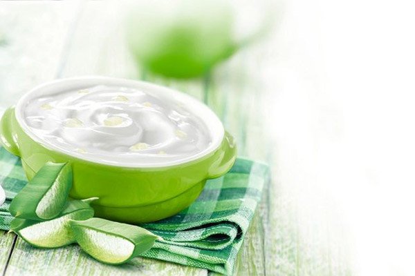 Cách ủ sữa chua nha đam