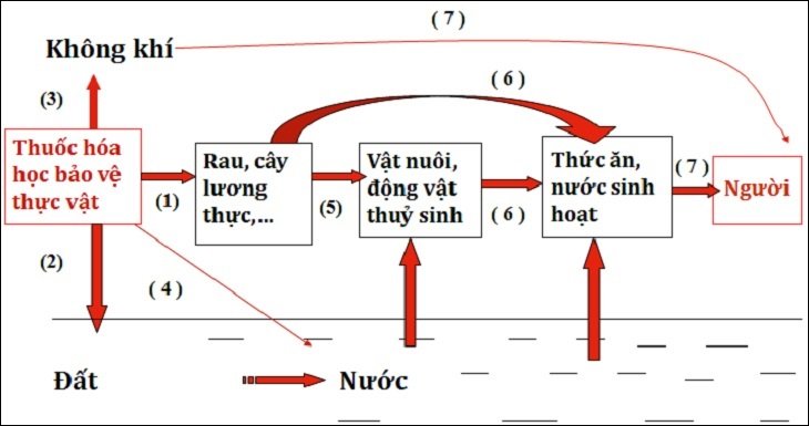 Vẽ sơ đồ trong Word Vẽ sơ đồ trong Word