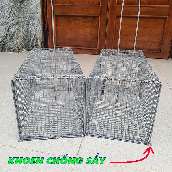 cách bẫy mèo nhà rất đơn giản