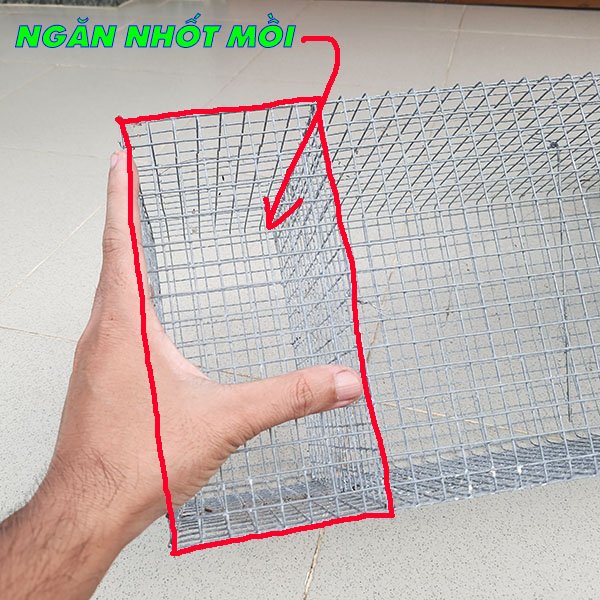 cách bẫy mèo nhà đơn giản
