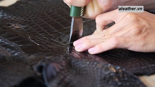 xử lý da