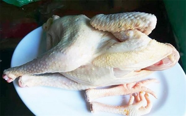 Chọn gà ta để thịt săn chắc