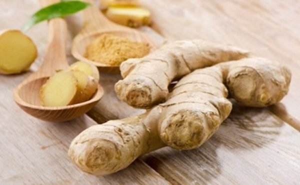 chọn những cũ gừng tươi non