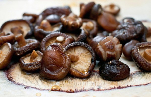 công dụng tuyệt vời của nấm