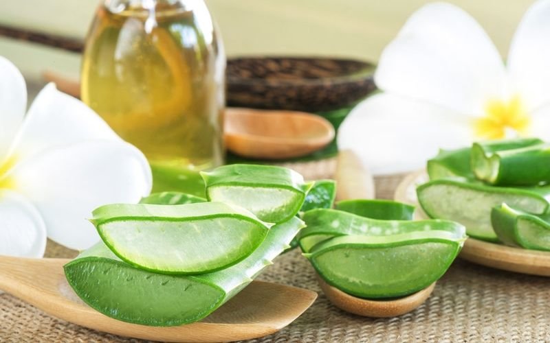 Công thức làm đá lạnh nha đam, trị nám, sạch mụn chỉ sau vài tuần Công thức làm đá lạnh nha đam, trị nám, sạch mụn chỉ sau vài tuần