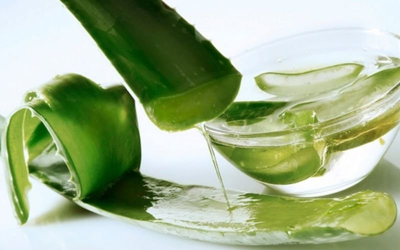 Công thức làm đá lạnh nha đam, trị nám, sạch mụn chỉ sau vài tuần Công thức làm đá lạnh nha đam, trị nám, sạch mụn chỉ sau vài tuần