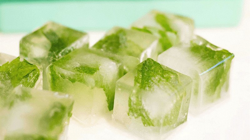 Công thức làm đá lạnh nha đam, trị nám, sạch mụn chỉ sau vài tuần Công thức làm đá lạnh nha đam, trị nám, sạch mụn chỉ sau vài tuần