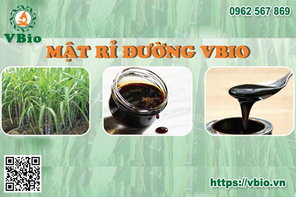 Cách làm mật rỉ đường