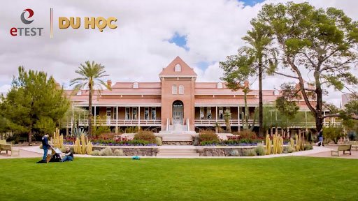Đại học Arizona