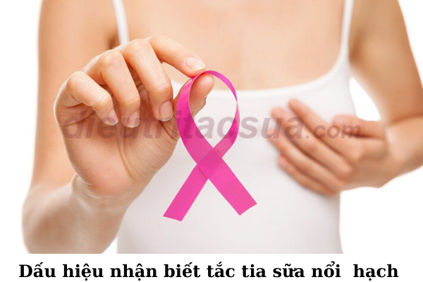 Ghi nhớ các dấu hiệu nhận biết 