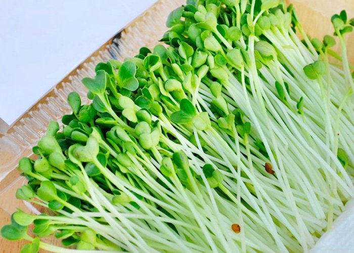 Gỏi bắp bò rau mầm