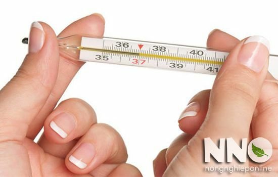 Đo nhiệt độ trong thùng xốp