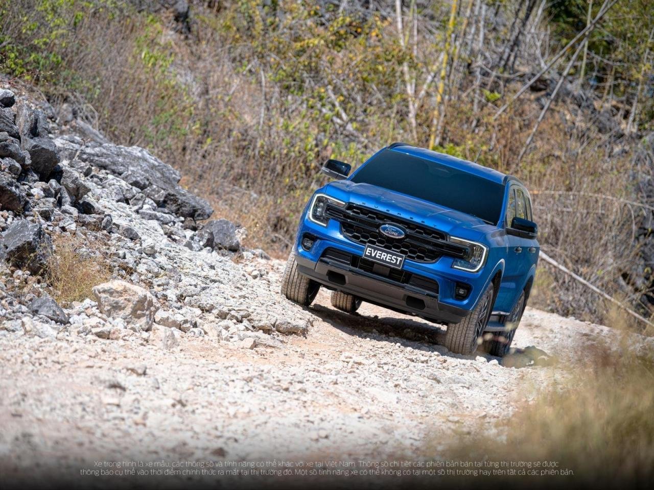 Xe Ford Everest​ 2022.