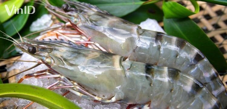 Chọn tôm sú càng tươi thì món gỏi sẽ càng ngon