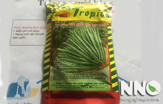 Kỹ thuật trồng đậu cove leo giàn