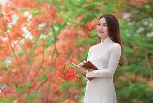 Hình ảnh tác giả Luận Văn Việt group