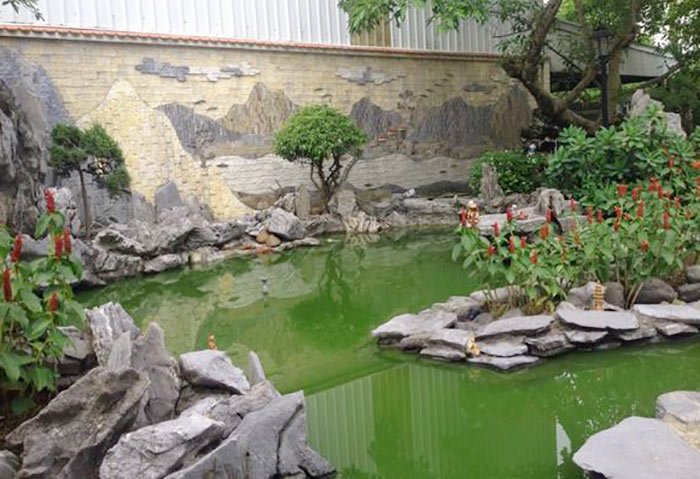 ho ca ngoai troi khong co he thong loc