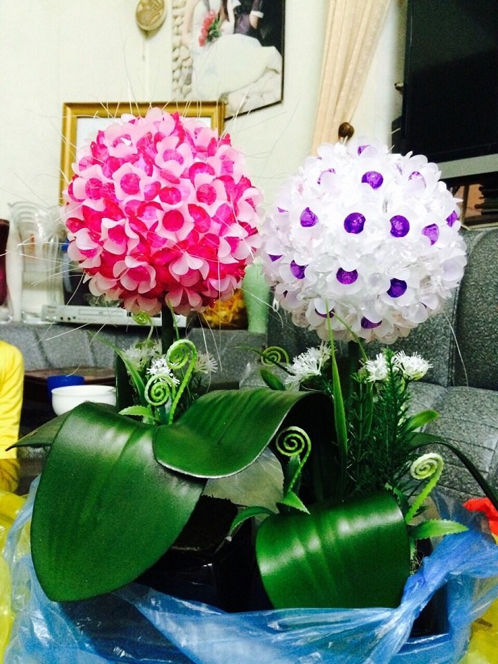 Cách làm 2 bông hoa đá cẩm tú cầu
