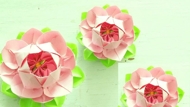 hoa sen origami