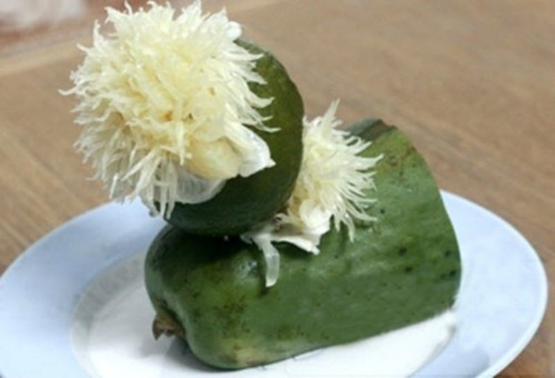 Phủ lông cho chú cún