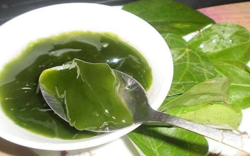 Món thạch sương sâm 