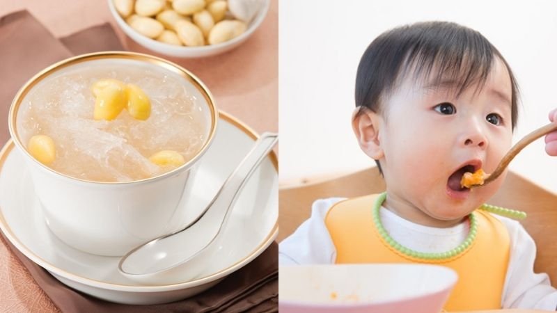 Em bé có ăn được yến chưng hay không Em bé có ăn được yến chưng hay không