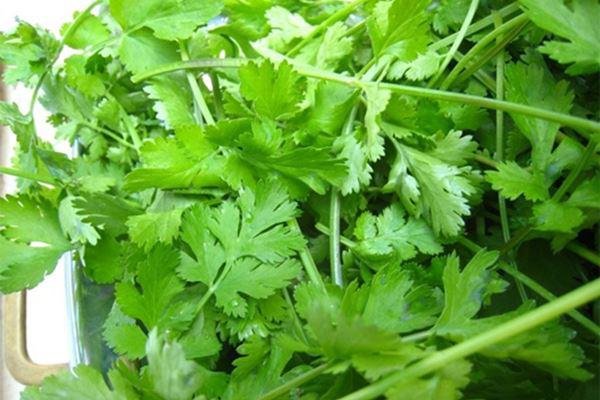 6 cách làm salad trộn vừa đơn giản vừa ngon - 4