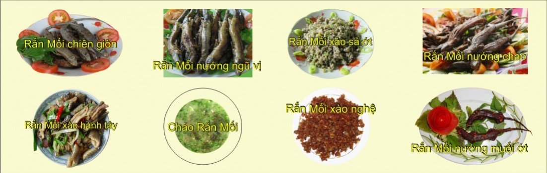 cách làm thịt rắn mối