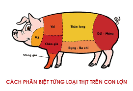 THỊT NẠC ĐÙI