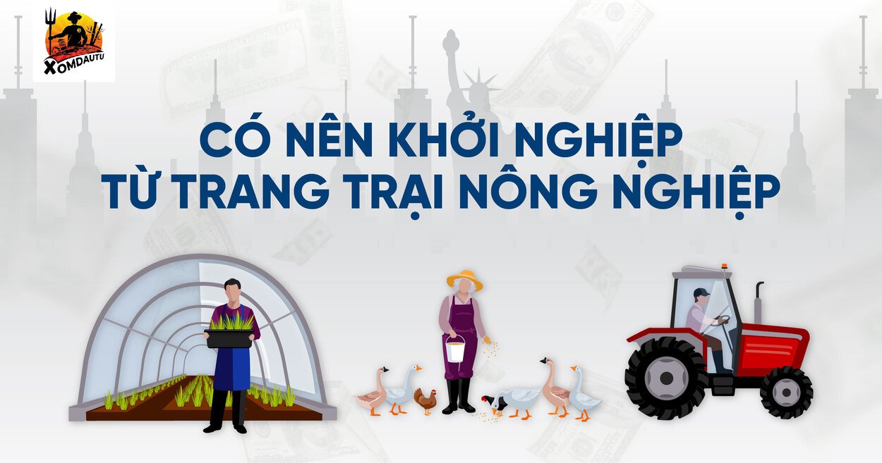 Kinh Doanh Gi O My Khoi Nghiep Nong San