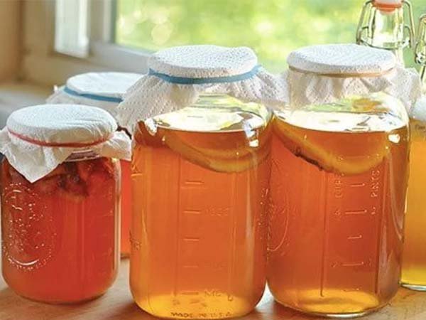 kombucha 7