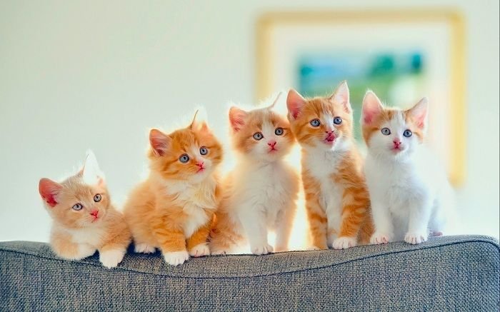những cách làm giàu ít vốn