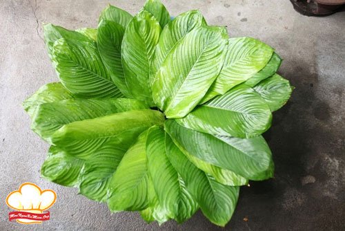 Chuẩn bị lá gói bánh răng bừa Thanh Hóa