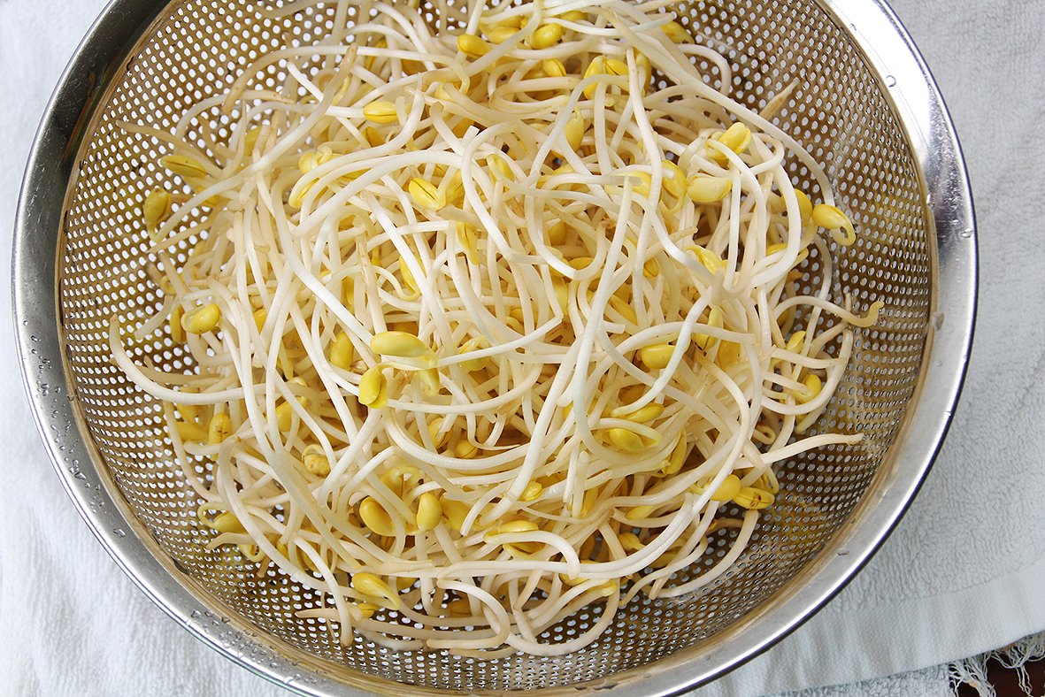 làm giá đỗ bằng hộp sữa