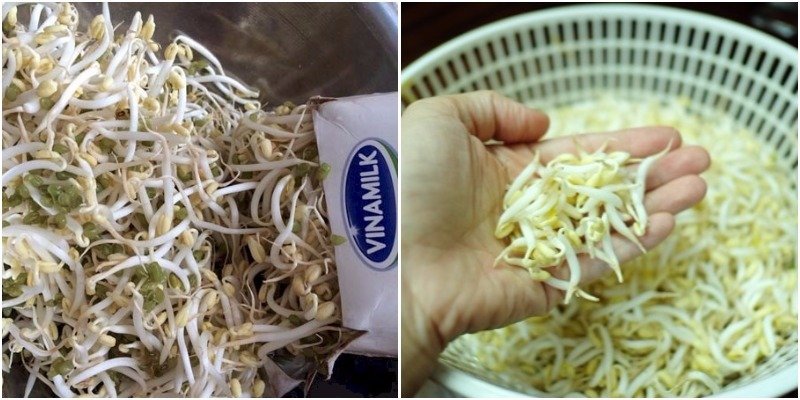 Làm giá đỗ bằng vỏ hộp sữa nhanh chóng Làm giá đỗ bằng vỏ hộp sữa nhanh chóng