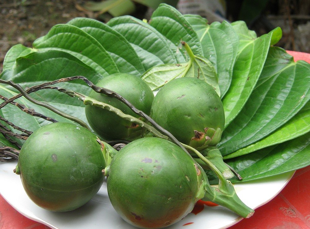 làm trắng răng bằng trái câu
