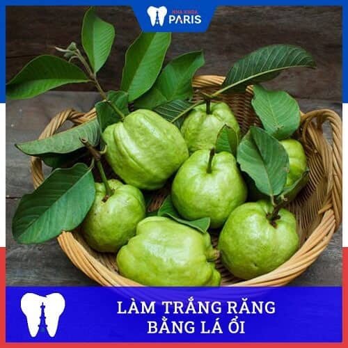 Làm trắng răng và chữa hôi miệng hiệu quả