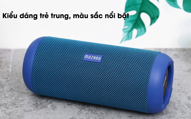 Loa đã hỏng nhưng vẫn tiếp tục sử dụng