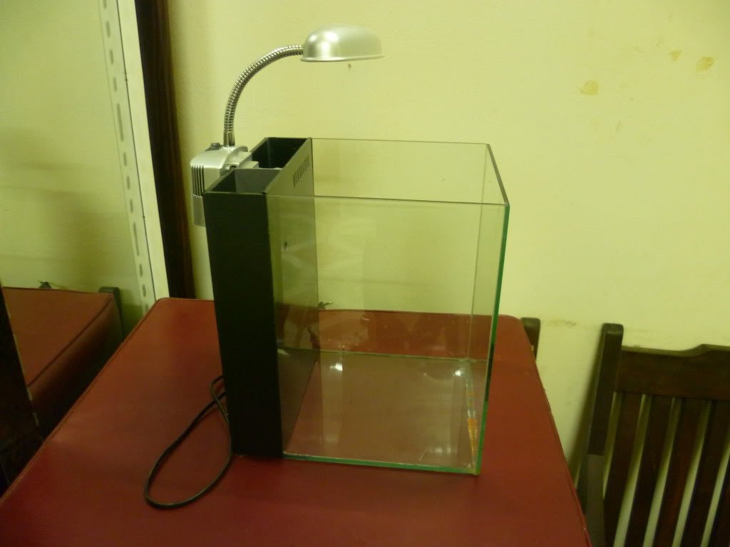 Một chiếc bể cá để bàn mini với lọc vách nhỏ gọn rất đẹp