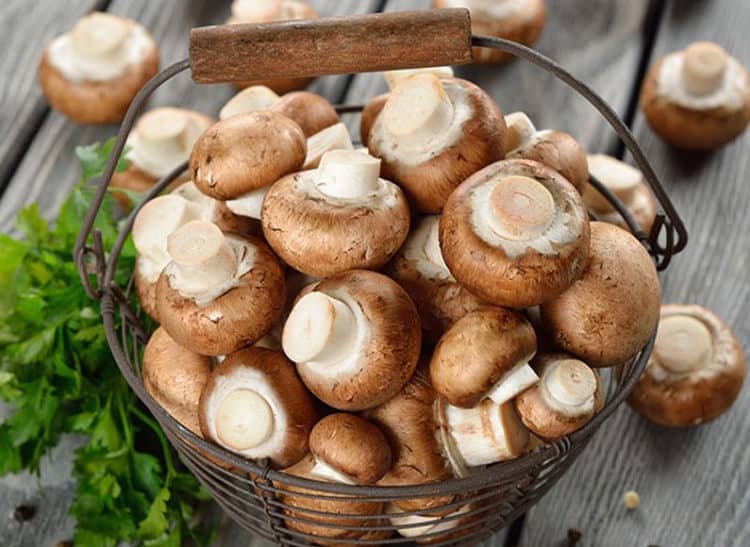 lợi ích của nấm hương
