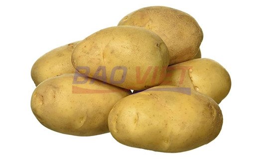 Lựa chọn khoai tây ngon Lựa chọn khoai tây ngon