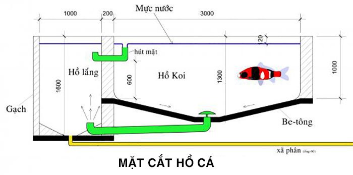 mat cat ho ca ngoai troi