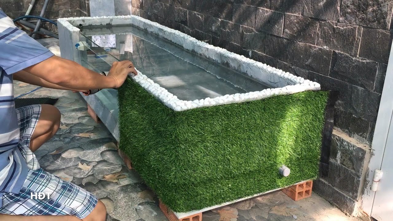 tự làm bể cá cảnh
