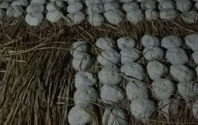 hướng dẫn làm cơm rượu nếp cẩm