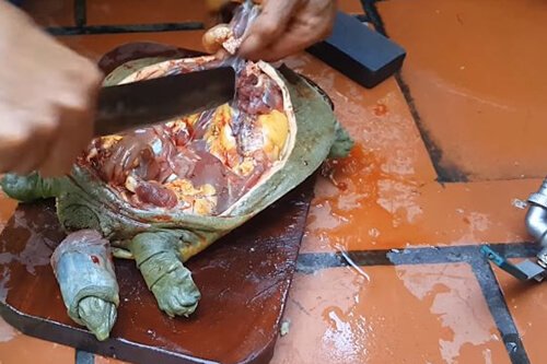moi nội tạng