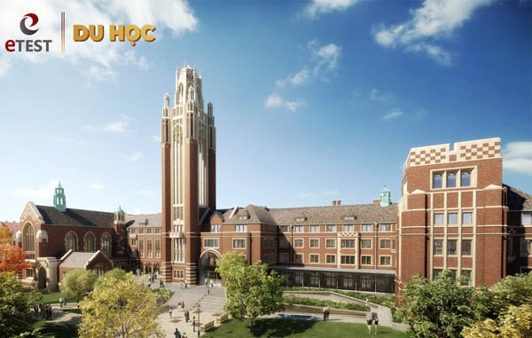 một số trường mỹ không cần có bằng ielts