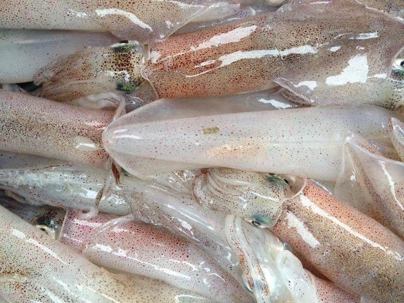 Mực ống là nguyên liệu phù hợp nhất để làm mực rim mặn ngọt siêu ngon