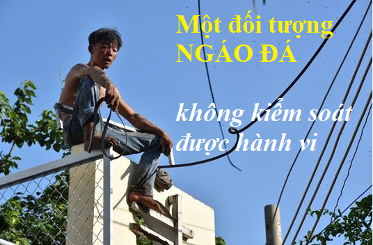 Một đối tượng bị ngáo đá