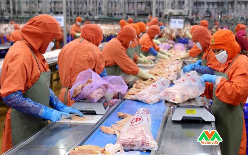 Một số việc làm đang được tuyển dụng ở Mỹ hiện nay - Hãng gà